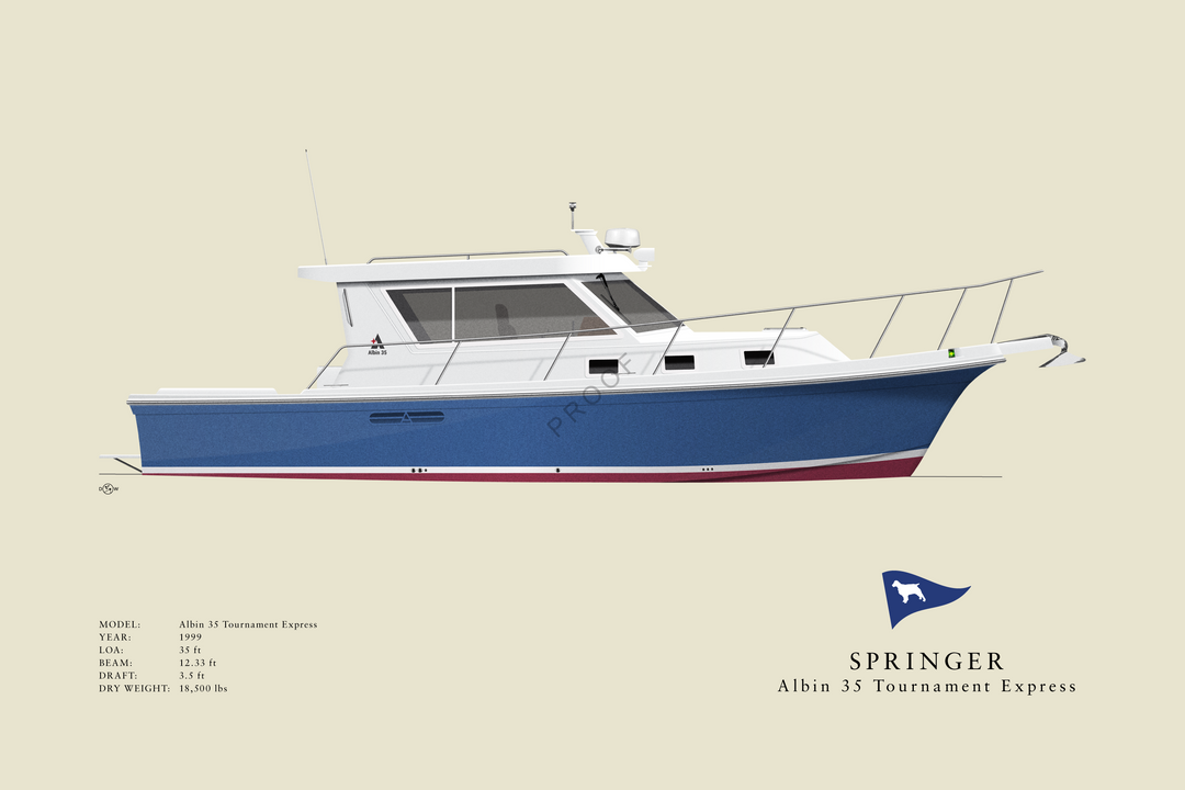 Springer - Albin 35 Tournament Express - Custom Half Hull Print With Deck Details